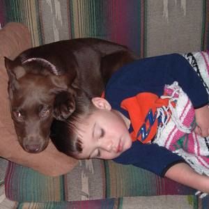 Meet your Posher, Jack